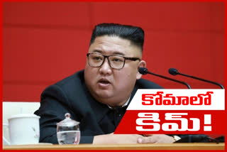 Kim Jong-un 'in coma': diplomat claims