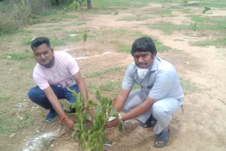 plantation by bajrangdal in Nihal Vihar delhi