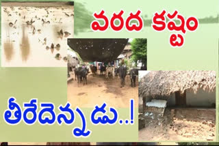 east godavari district people problem due to godavari floods