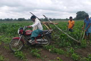 कर्नाटक का यह किसान बाइक से खेत जोत रहा