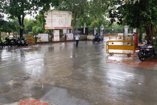 Irrigation Department, RAIN IN BHILWARA, भीलवाड़ा न्यूज़