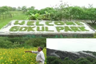 eco-restoration gokul park