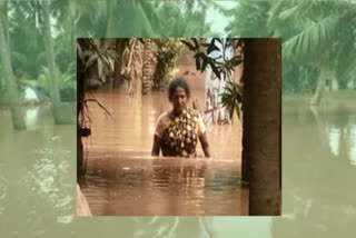 godavari floods in east godavari villages