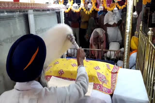 ਗੁਰੂ ਨਾਨਕ ਦੇਵ ਜੀ ਦੇ ਵਿਆਹ ਪੁਰਬ ਨੂੰ ਲੈ ਕੇ ਸੰਗਤਾਂ 'ਚ ਉਤਸ਼ਾਹ