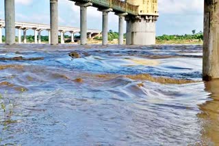 धौलपुर में अलर्ट जारी  हाड़ौती क्षेत्र  कोटा बैराज  dholpur news  etv bharat news  alert issued in dholpur  dholpur district Administration  flood in chambal river