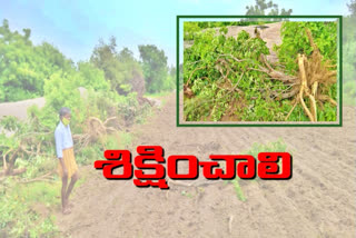 by removing haritha haram trees someone plowed farmland in yadadri district