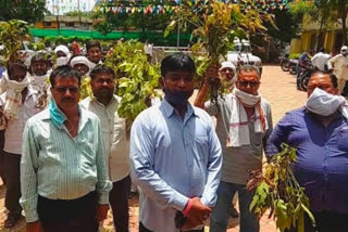 Disease outbreak on soybean crop in chhindwada