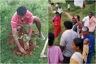 assault-on-boy-who-went-to-plant-tree-in-cemetery