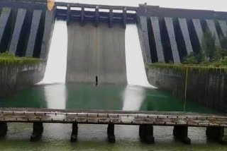Koyna dam gates closed for water release satara