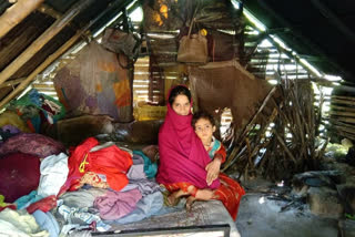 shelter in the forest