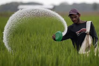 Bemetara has been declared an IFFCO district