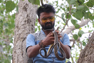 Snake rescue