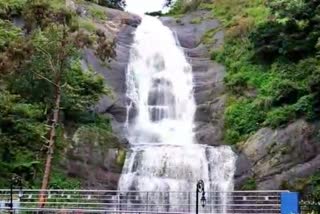 water-pouring-in-kodaikanal-silver-falls