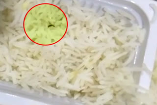 worm in food at corona hospital noida video viral