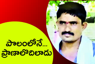 young farmer died in forming field at neradigonda