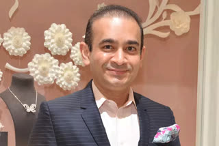 red-corner-notice-to-wife-of-nirav-modi