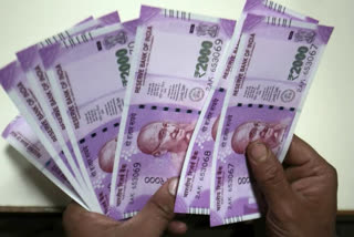 Rs 2,000 notes were not printed in 2019-20: RBI annual report