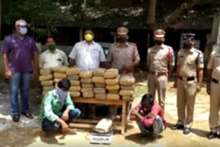 ganja caught in krishna dst gannavarm transported from telangana