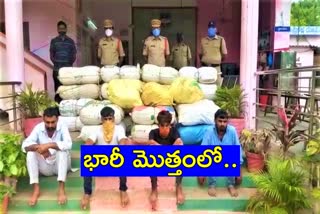 rs-95-lakh-60-thousand-worth-of-cannabis-seized-in-bhadrachalam