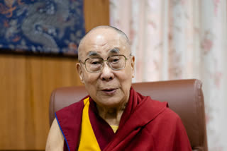 Dalai Lama File