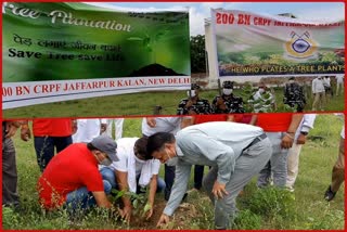 Aasra old age home team planted saplings with CRPF 200 battalion soldiers