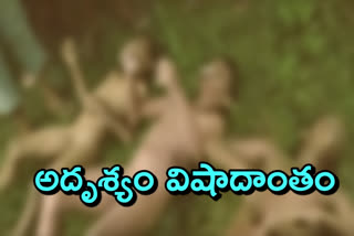 చెరువులో పడి ముగ్గురు చిన్నారులు మృతి