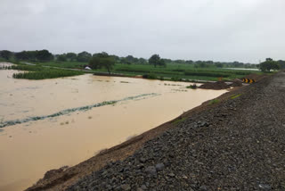 Filled water in farmers' fields