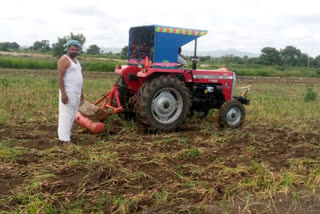 onion crop Destroy