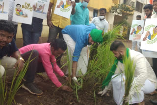 ರಸ್ತೆಯಲ್ಲಿ ಭತ್ತದ ನಾಟಿ ಮಾಡಿದ ಕೈ ಮುಖಂಡರು