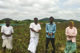 farmers-are-facing-crop-loss-from-flood-of-krishna-river