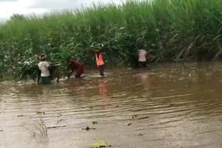 Bagalkot Flood  Loss