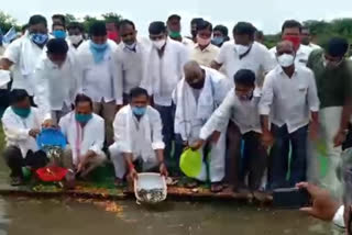 mla-venkateswar-reddy-left-fish-babies-in-pounds-of-bhoothpur-municipality-mahabubnagar