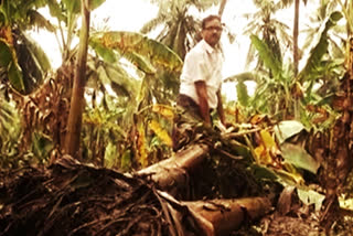 farmers in lanka villages in eastgodavari seriously effected with floods