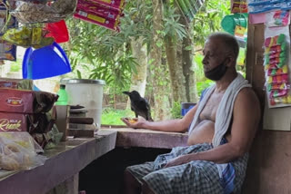 crow-friendship-between-pankajakshan-kollam-mangad