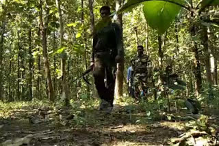 female naxalite killed in clash with gadchiroli police