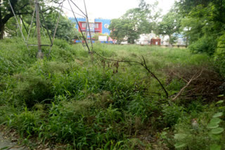 vikaspuri dda park becomes jungle
