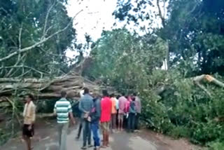 Shirasi-Hubli Road Traffic Band