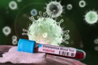 Simultaneous 48 new cases of corona virus in Muzaffarnagar