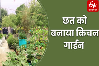 geeta sharma kitchen garden initiative