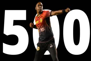 Dwayne Bravo  500 wickets  T20 cricket  Port of Spain  Trinbago Knight Riders