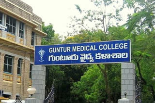 guntur medical college