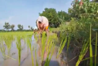 farmers happy as there are full water in kolanupaka