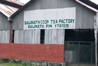 Baijnath cooperative tea industry