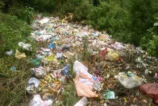 Garbage on roads in Barsar