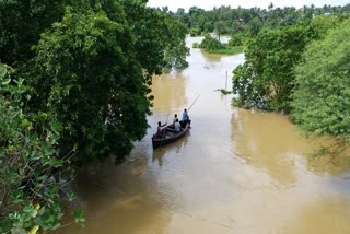 flood situation in jalaka & budhabalanga river