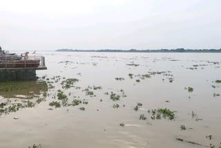 water level of ganga river increases due to heavy rain in buxar