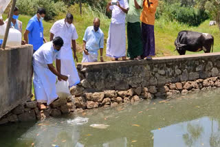 സുഭിക്ഷ കേരളം പദ്ധതി  മത്സ്യ കുഞ്ഞുങ്ങളെ നിക്ഷേപിക്കുന്ന പദ്ധതി  ഇടുക്കി  acqua culture idukki  acqua culture  idukki  Subiksha kerala scheme