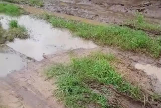 villagers-are-upset-due-to-having-rough-road-in-koriya