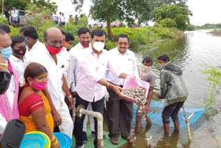 MLA Kishore Kumar leaving fish in the pond in suryapet district