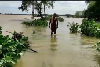 Many villages are worried about waterlogging